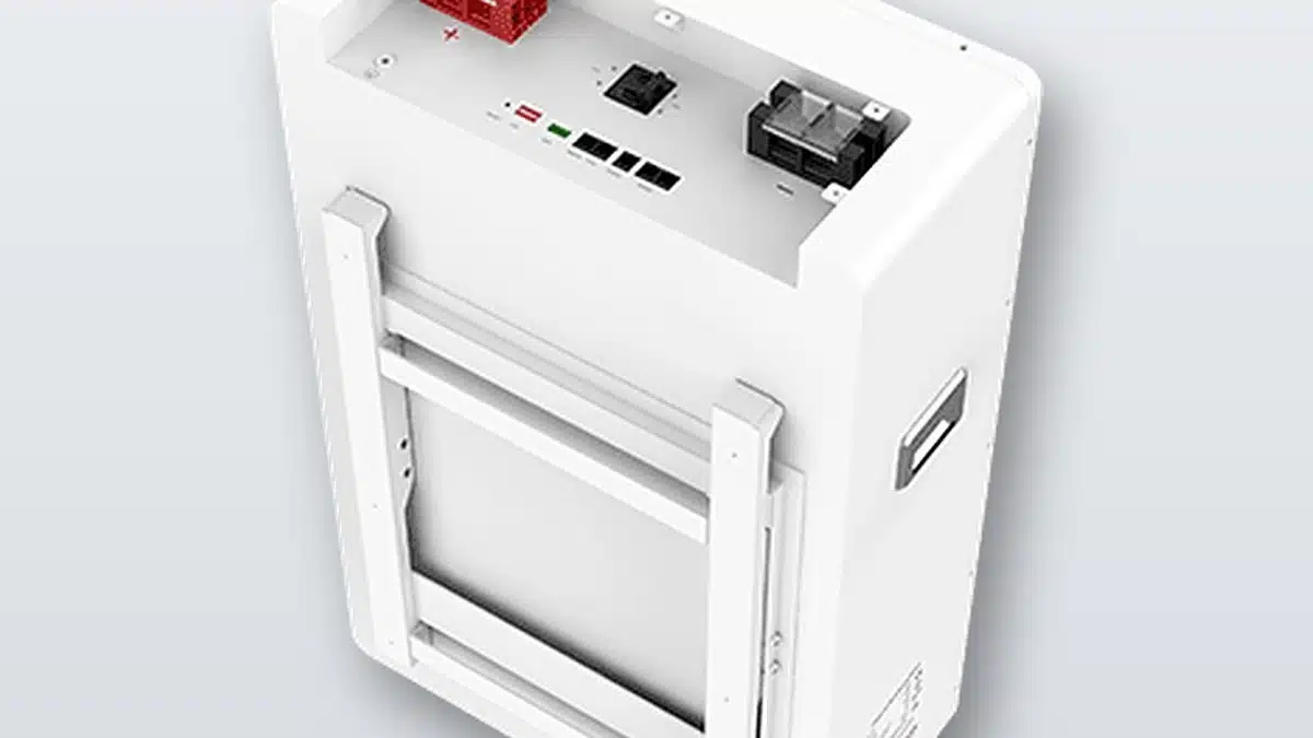 Guía de instalación batería BSLBATT B-LFP48-300PW